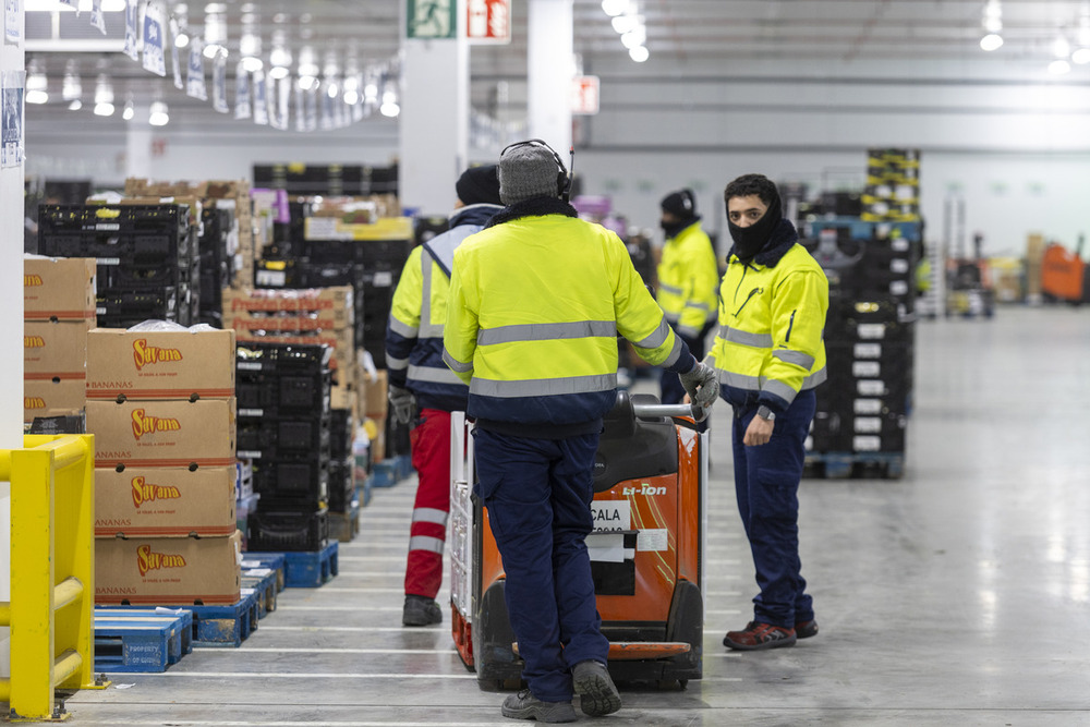 Cuál es el motivo del alto absentismo laboral en el transporte y la logística